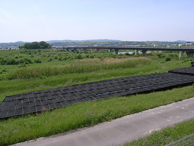 R8247675.jpg