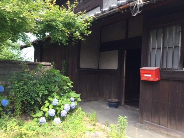 image2.JPG